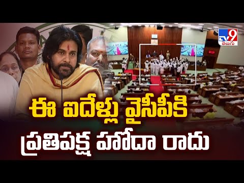 ఈ ఐదేళ్లు వైసీపీకి ప్రతిపక్ష హోదా రాదు : Deputy CM Pawan Kalyan Satires - TV9