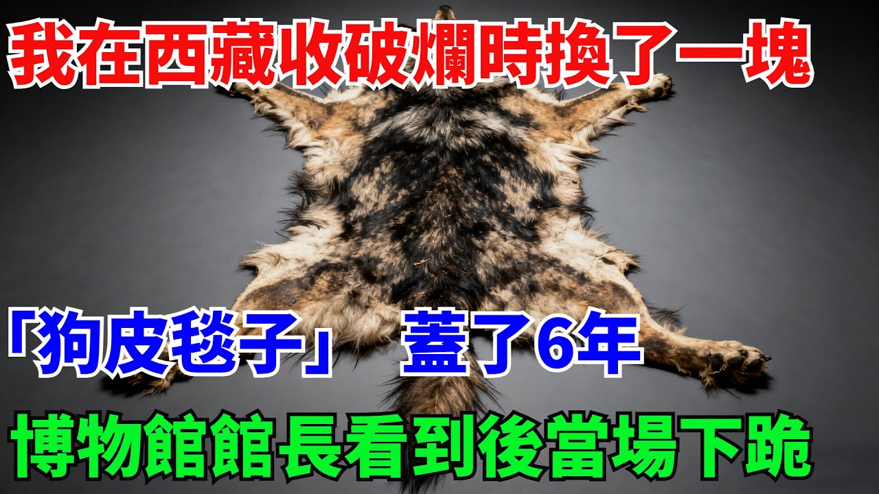 我在西藏收破爛時換了一塊「狗皮毯子」，蓋了6年，博物館館長看到後當場下跪【奇遇天下】#奇聞#民間故事#真相#風水鑒寶#故事#人生經驗#都市奇聞