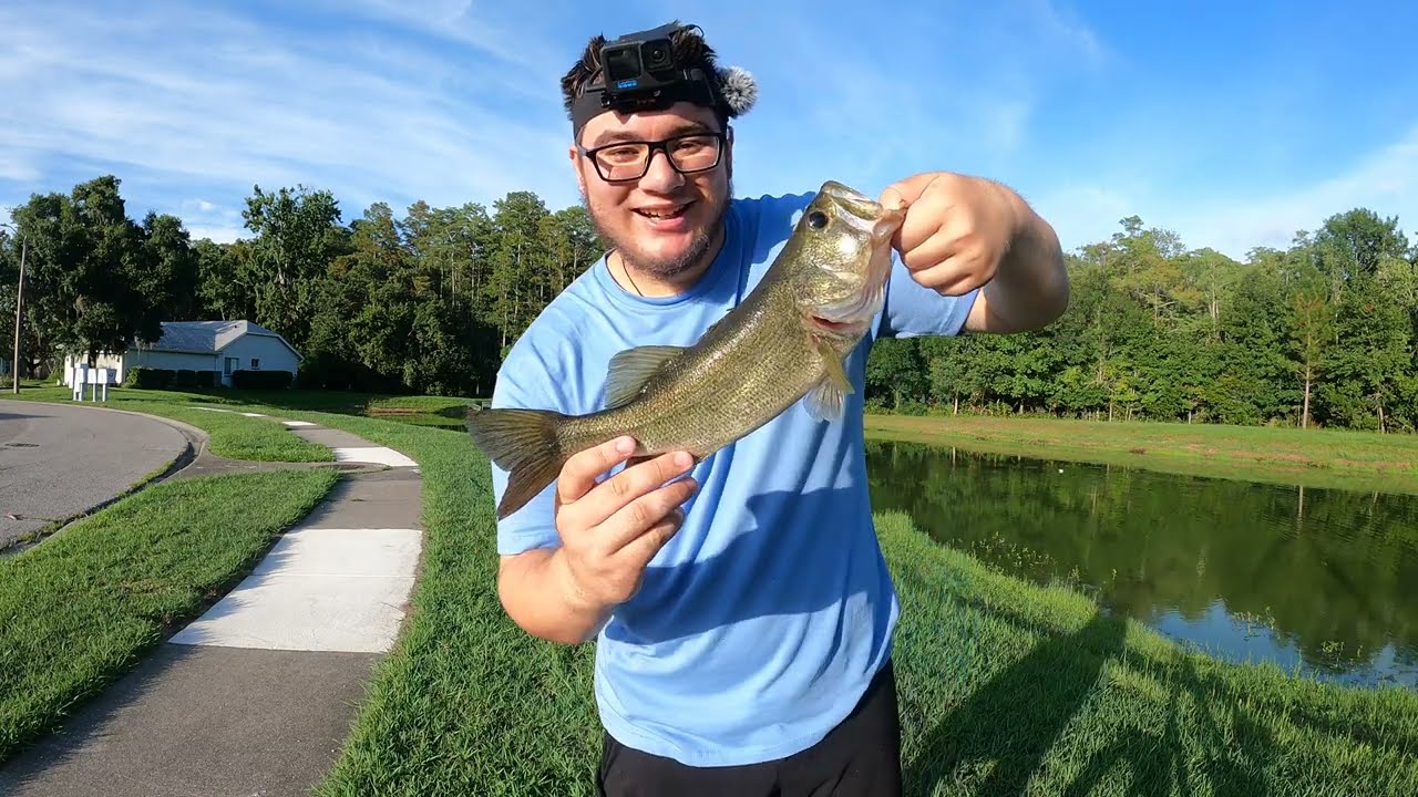 Bass fishing My Sewage Pond!
