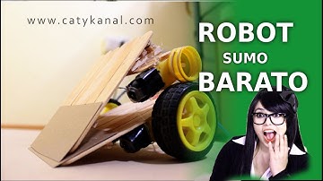 Robot sumo alambrico baratisimo