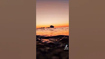 ياراكب في رحلة الحياة 