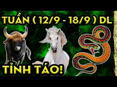 Video Tu Vi Hang Tuan, 3 Con Giáp Đắc Được Thiên Thời, Đường... - youtube