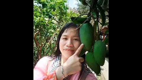 DU LỊCH CÁI BÈ - TIỀN GIANG