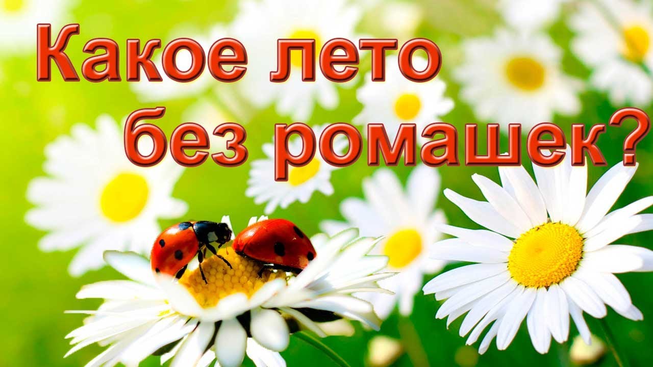 полякова первое лето без него.