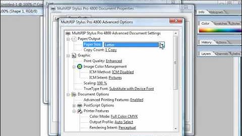 MultiRIP Hybrid Printing Software - Digital Transfers & Film