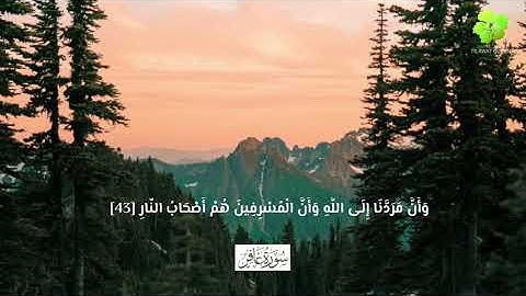 وَيَا قَوْمِ مَا لِي أَدْعُوكُمْ إِلَى النَّجَاةِ وَتَدْعُونَنِي إِلَى النَّارِ [سورة:غافر]