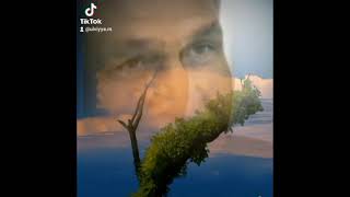 Nüreddin Mehdixanli - Seir