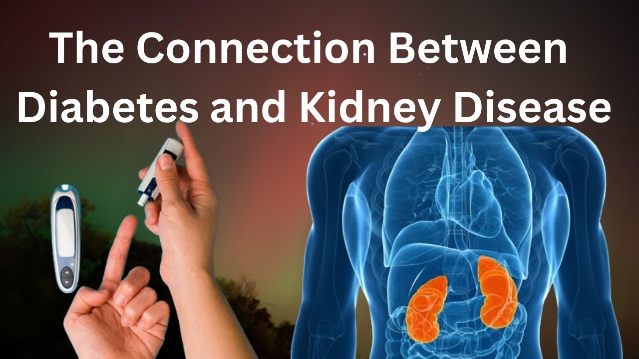 The Connection Between Diabetes and Kidney Disease |Save You Life - YouTube