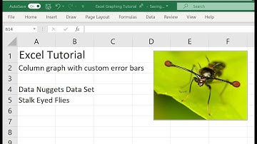Excel Tutorial: Column Graph with Custom Error Bars
