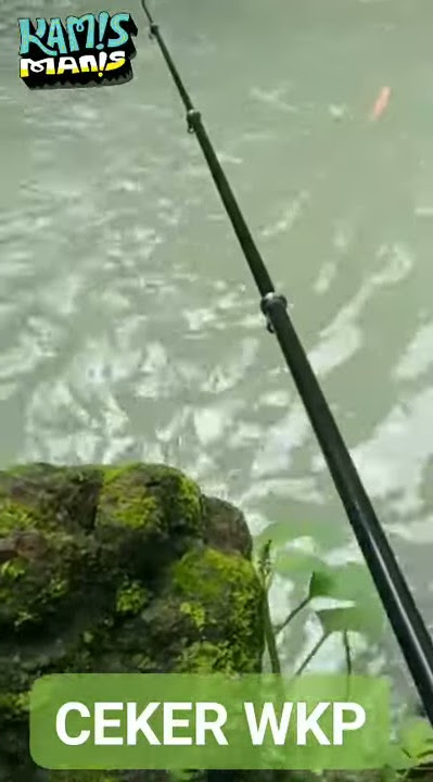 story wa || kamis manis mancing🎣🎣