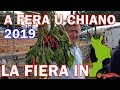 📌 Fiera Tipica Calabrese - "A Fera u chiano "di Santa Domenica Talao (CS)