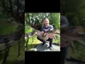 #carp #carpe #fishing #fish #