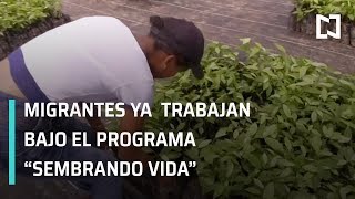 Migrantes en Chiapas ya tienen empleo bajo programa \\