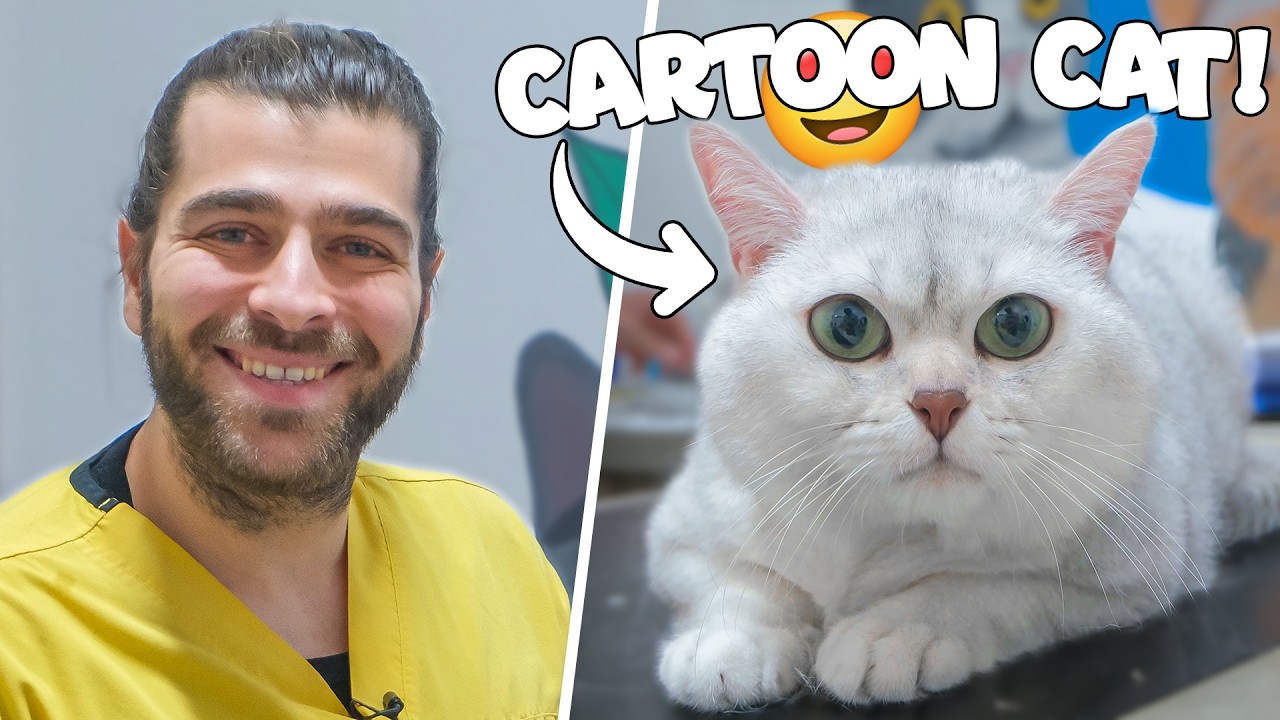 Этот кот настоящий ИЛИ мультяшный!? (Мягкий, пушистый и ангельский!)