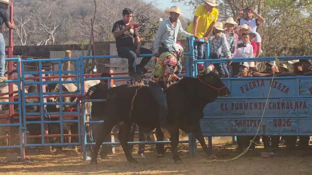 JARIPEO 14 DE FEB 2026 EL PORVENIR CHIMALAPA MONTA 4