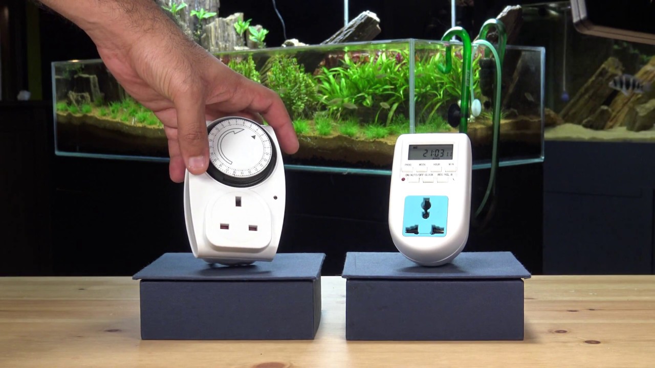 التايمر أو المؤقت الإلكتروني | Timer |