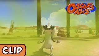 Oscar's Oasis - Basking in the Ambience | HQ | Funny Cartoons