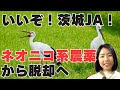 【JA茨城、ネオニコチノイド農薬から脱却へ】オーガニックといえば茨城というポジションを確立したい!