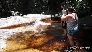 02 La Crique Crevette