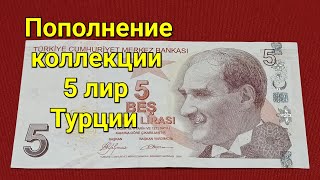 Пополнение коллекции 5 лир Турции