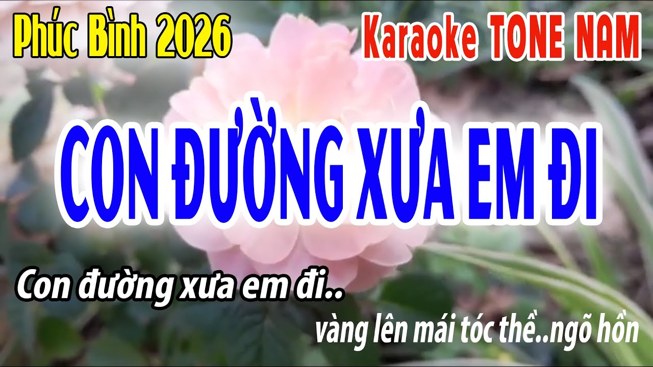 Con Đường Xưa Em Đi Tone Nam | A#m | Karaoke Phúc Bình | Beat 2026