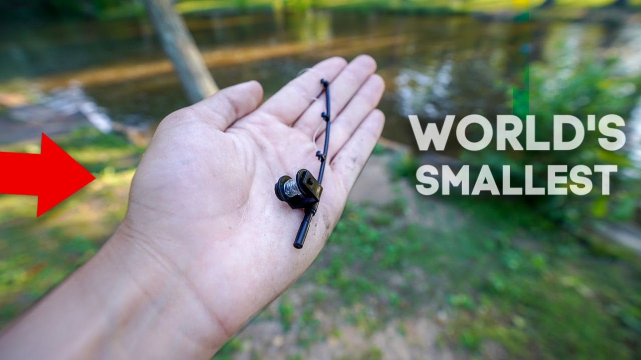 World's SMALLEST Fishing Rod!! (Catches FISH!) 