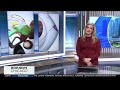 Gas prices spiking amid war with Iran
