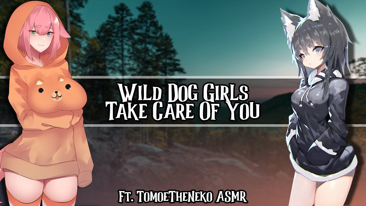 Wild Dog Girls Take Care Of You Ft.@TomoeTheNekoASMR //F4A// - YouTube