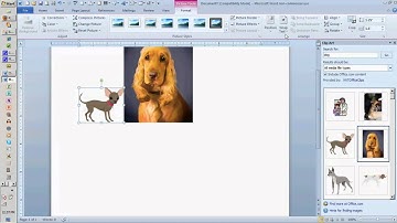 Adding Clip Art to a Word Document