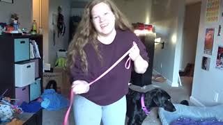 Shit (bad) service dog handlers say