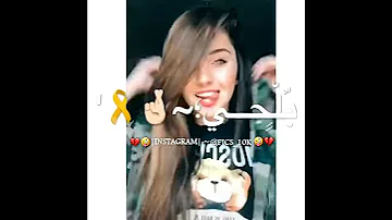 مهرجان طلقة بمخك تعمل بوم تصميم Majd Kafina حالات واتس اب 2019 