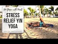 30 min Yin Yoga for Relaxation and Stress Relief in Punta Cana!