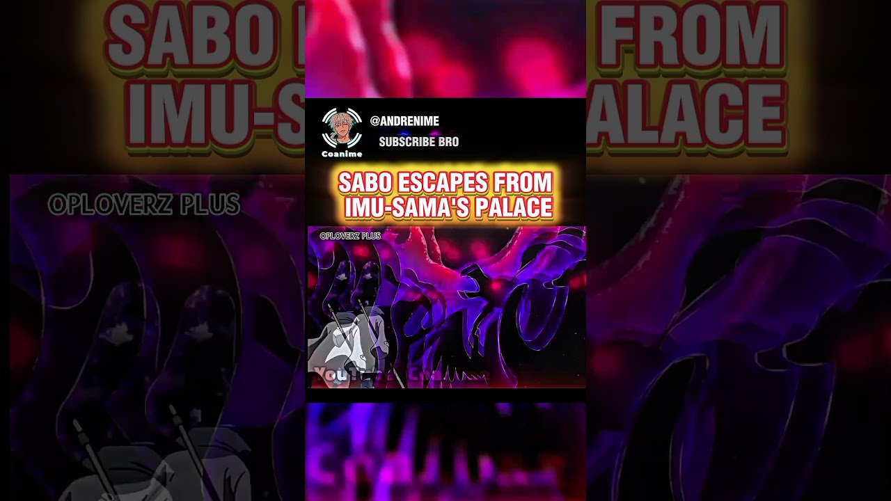 Sabo knows the contents of the void century  