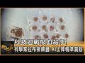 科技迎戰吸血殺手! 科學家拉布揪蜱蟲 AI上陣精準滅蚊｜方念華｜FOCUS全球新聞20260618 @TVBSNEWS01