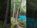 สระมรกต (Emerald Pool)  #thailand  #krabi
