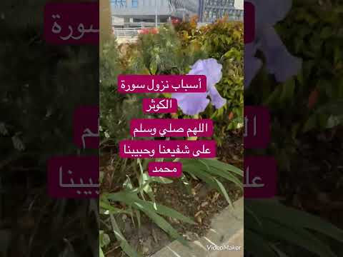 اسباب نزول سورة الموتر الله اكبر اكتب شي تؤجر عليه