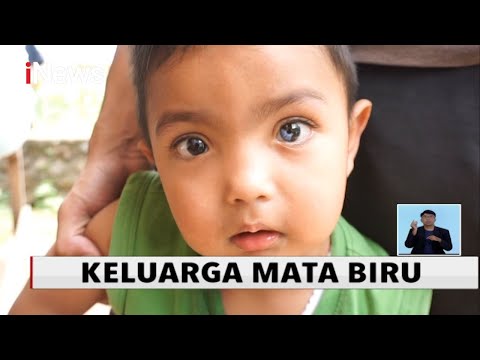 Video: Semangat Jahat Yang Memiliki Anak Patung Bermata Biru Sarita Menyeksa Keluarga Dari Peru - Pandangan Alternatif