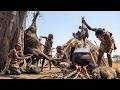 Incredible Survival Skills Life In The African Wilderness Of The Hadzabe Tribe 
