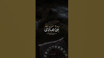 اكتب شي تؤجر عليه ♡✨️ ｜ القارئ شريف مصطفى ｜ قرآن كريم