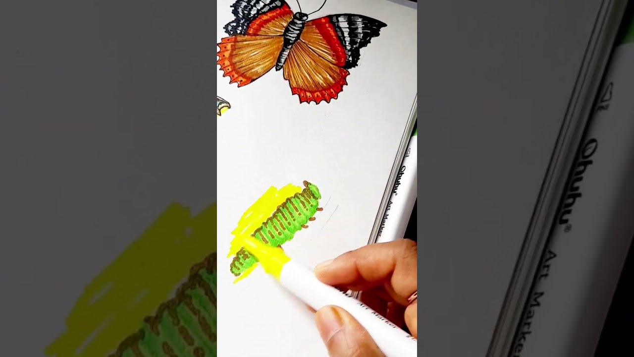 Drawing a Caterpillar with Art Markers 