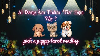 Ai Đang Âm Thầm "Tia" Bạn Dzậy? ❤️😊#xemtarot - Chọn Tụ Bài Tarot