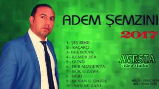 ADEM ŞEMZİNİ - ŞEŞ BEND (KUMAŞ)  (2017)