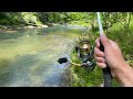 Fishing SUPER Clear Rivers in North Georgia