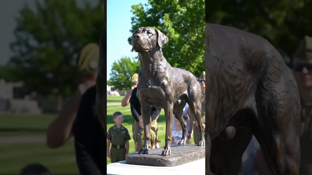 A Statue Of Legendary U S Military Dog Is Unveiled In Front Base