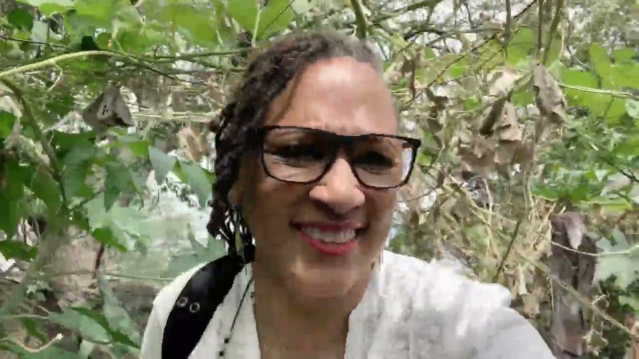 Our Trip to Mezcala, Jalisco, MX