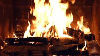 Dangerbird Records: Hooray For The Holidays - Yule Log | Relaxing Fire Burning Video 🔥