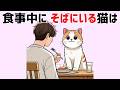 【猫の愛情表現30選】愛されて育った猫が見せる!かわいい行動・仕草 #雑学 #豆知識 #猫