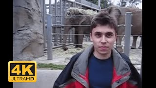 Me At The Zoo | 4K Ultra Hd Upscaled 60 Fps | Meme