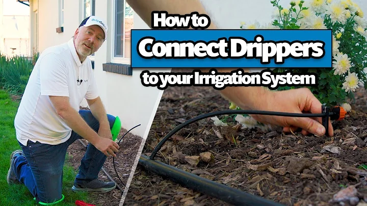 How to Connect Drip Emitters to your Irrigation System with 1/4 inch Micro Tubing