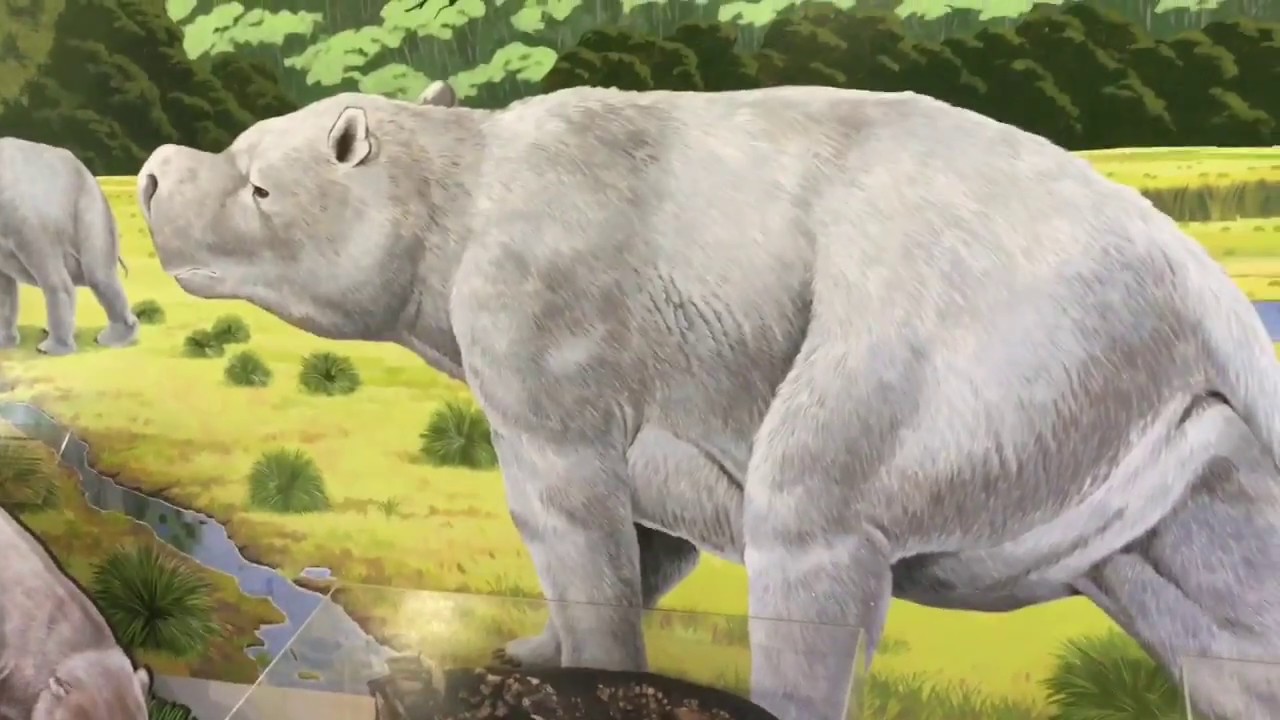 *OFFICIAL VIDEO RELEASE* Flinders Chase 🎬